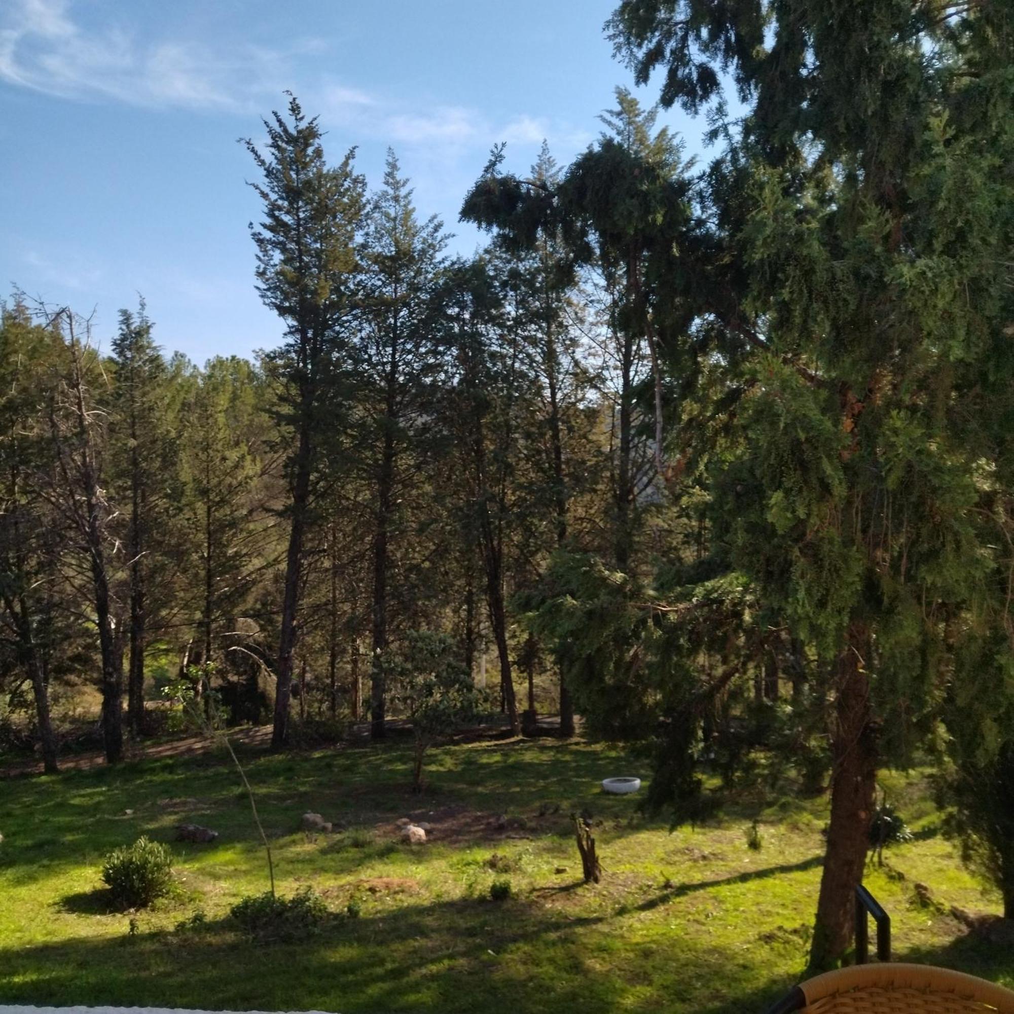 コルドバ Bonita Casa Blanca En El Bosque.ヴィラ エクステリア 写真