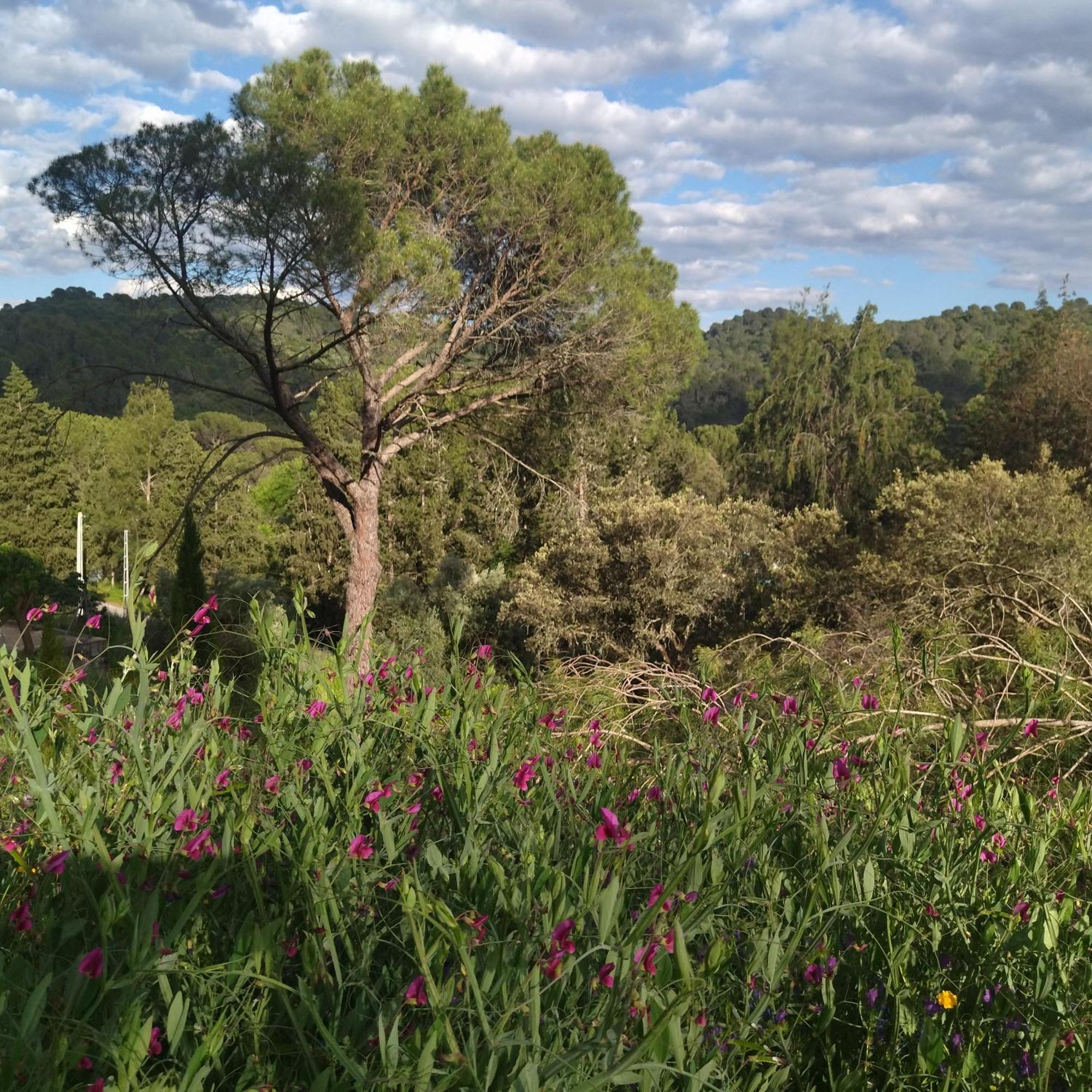 コルドバ Bonita Casa Blanca En El Bosque.ヴィラ エクステリア 写真